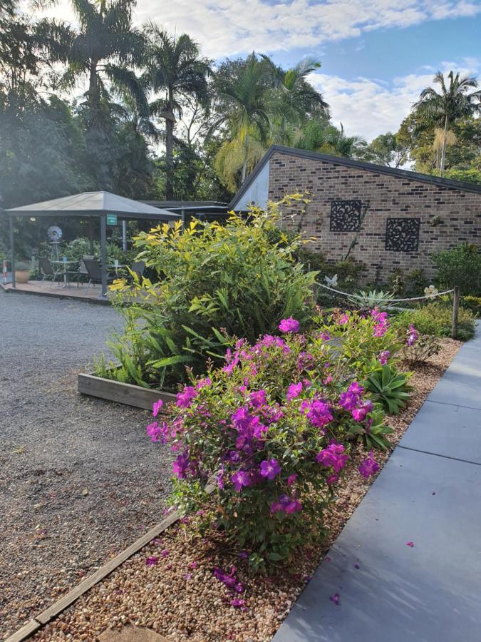 Beerwah Motor Lodge Exterior photo